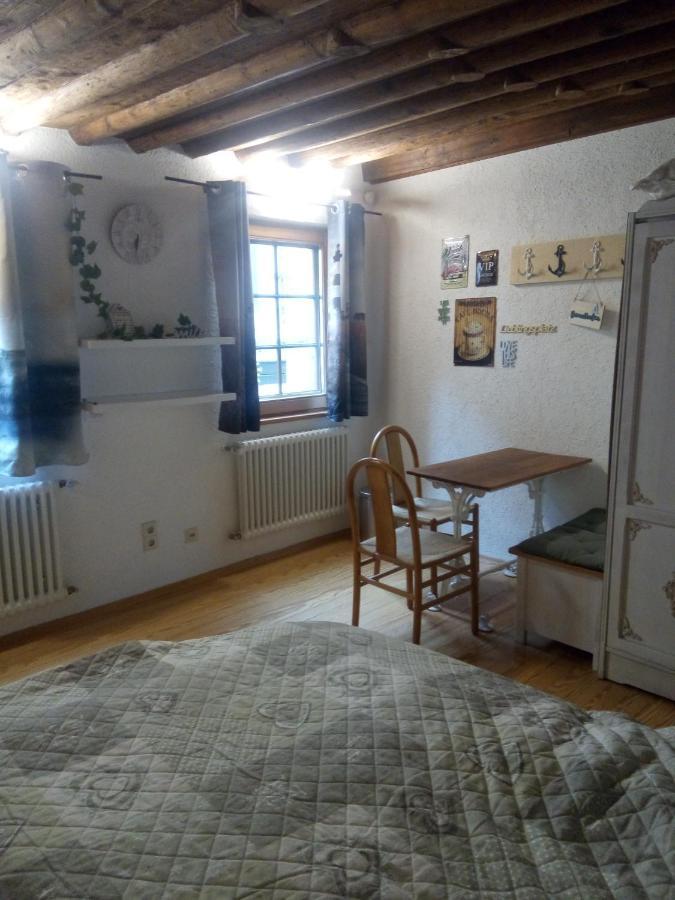 See- Und Altstadthaeusle - Alles Direkt Vor Der Haustuer - Bodenseeufer Natur Altstadt Bahnhof Bora-Sauna - Klein Und Super Zentral Zum See Oepnv Stadt Natur Etc - Appartement Historica Radolfzell am Bodensee Eksteriør bilde