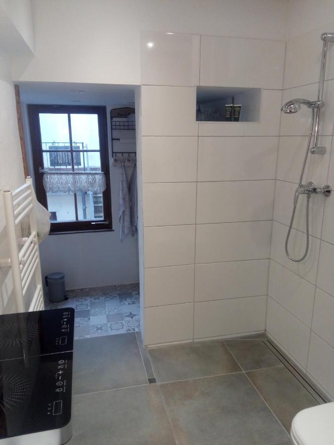 See- Und Altstadthaeusle - Alles Direkt Vor Der Haustuer - Bodenseeufer Natur Altstadt Bahnhof Bora-Sauna - Klein Und Super Zentral Zum See Oepnv Stadt Natur Etc - Appartement Historica Radolfzell am Bodensee Eksteriør bilde